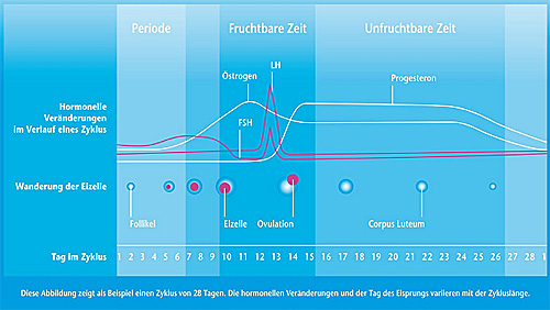 Kinderwunsch Online Apotheke Apo Discounter De