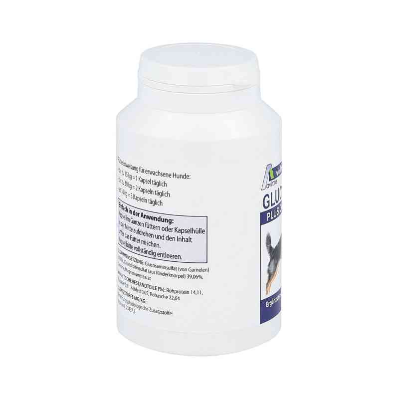 Glucosamin+chondroitin Kapseln für Hunde 120 stk