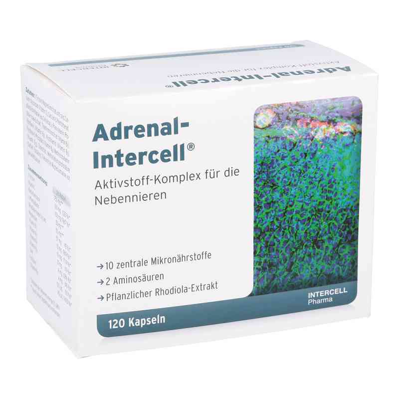 Adrenal-intercell Kapseln 120 stk online kaufen 