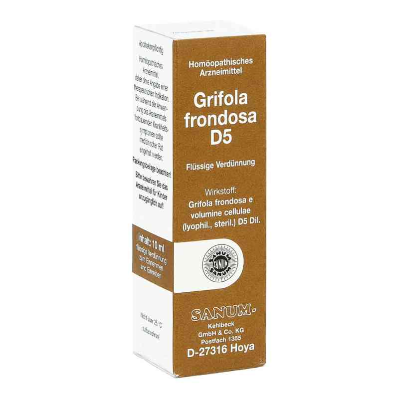 Grifola frondosa D5 Tropfen 10 ml Erfahrungen apodiscounter.de