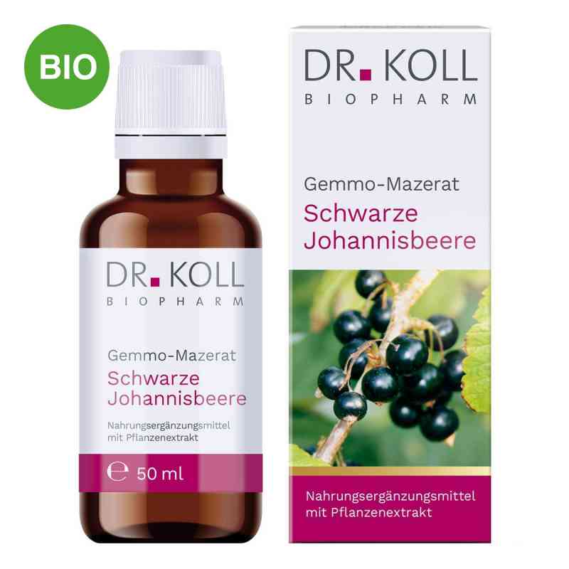Gemmo Mazerat Schwarze Johannisbeere Doktor koll Ribes 50 ml von Dr. Koll Biopharm GmbH PZN 18467997