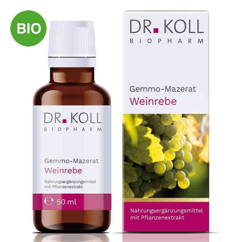 Dr. Koll Gemmo-Mazerat Weinrebe Tropfen 50 ml von Dr. Koll Biopharm GmbH PZN 20060004