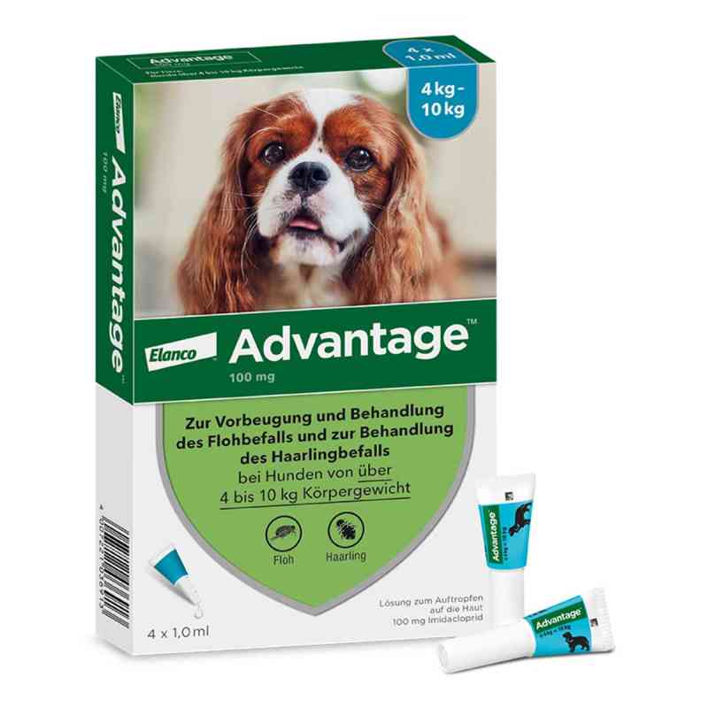 Advantage Spot-On für Hunde von 4 bis 10 kg Körpergewicht 4 stk von Elanco Deutschland GmbH PZN 08613311
