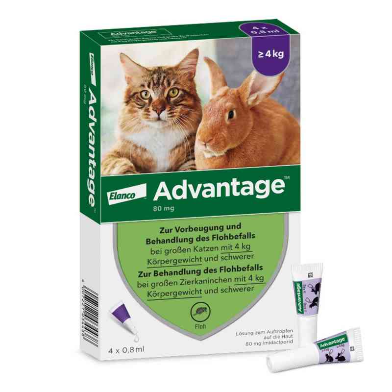 Advantage Spot-On für Katzen und Zierkaninchen von 4 - 8 kg 4X0.8 ml von Elanco Deutschland GmbH PZN 09670104