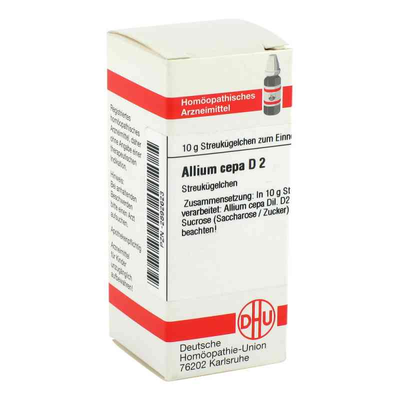 Allium Cepa D2 Globuli 10 g von DHU-Arzneimittel GmbH & Co. KG PZN 02892623