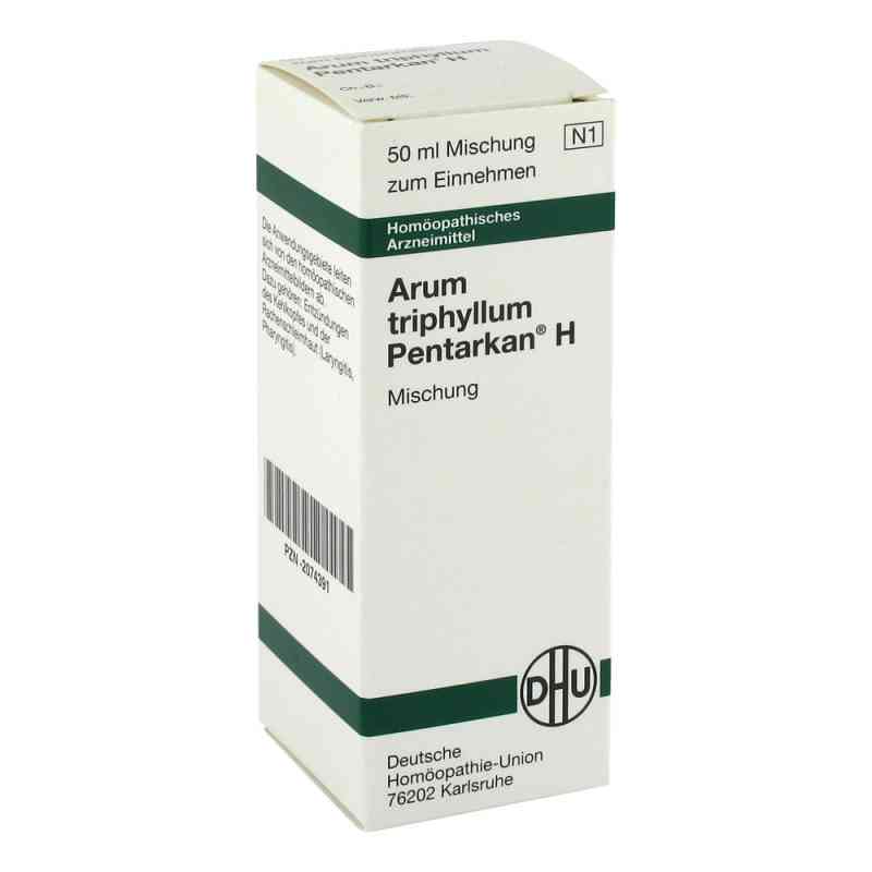 Arum Triphyllum Pentarkan H Dilution 50 ml von DHU-Arzneimittel GmbH & Co. KG PZN 02074391
