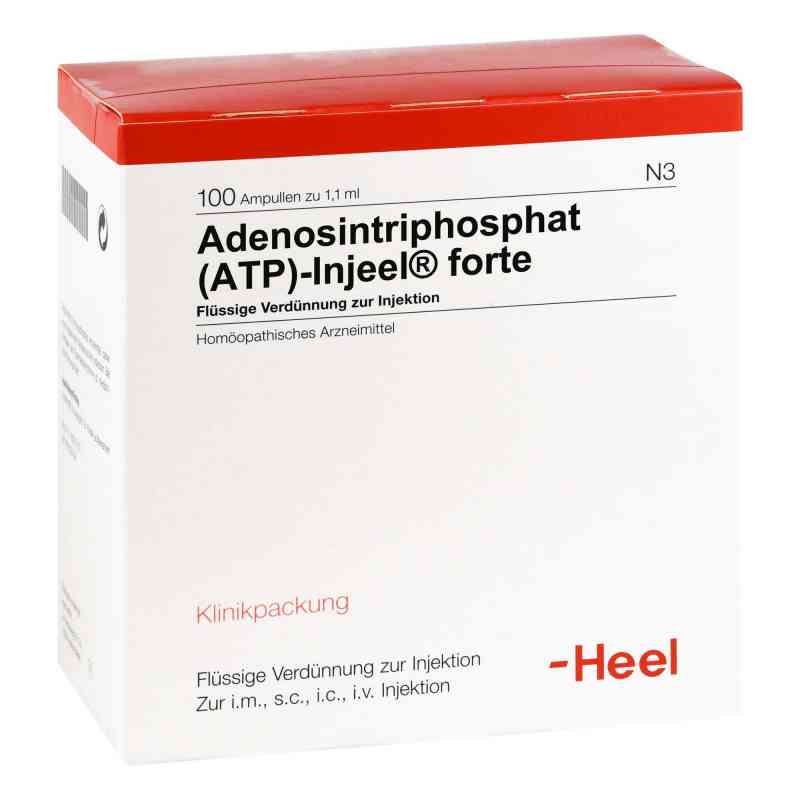 Atp Injeel forte Ampullen 100 stk von Biologische Heilmittel Heel GmbH PZN 01813490