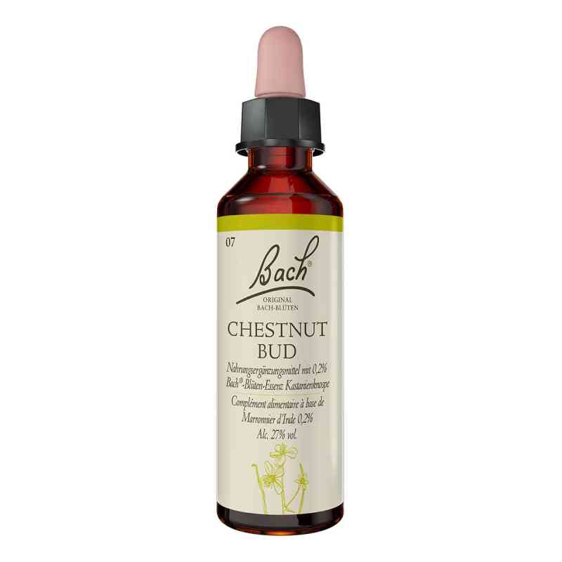 Bachblüten Chestnut Bud Tropfen 20 ml von Nelsons GmbH PZN 00047734