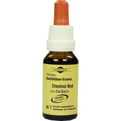 Bachblüten Murnauer Tropfen Chestnut Bud 20 ml von MCM KLOSTERFRAU Vertr. GmbH PZN 07752507
