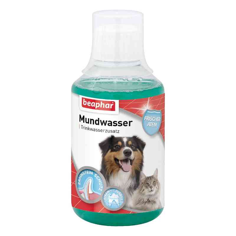 Beaphar Mundwasser für Hunde und Katzen 0.25 l von Beaphar B.V. PZN 16195827