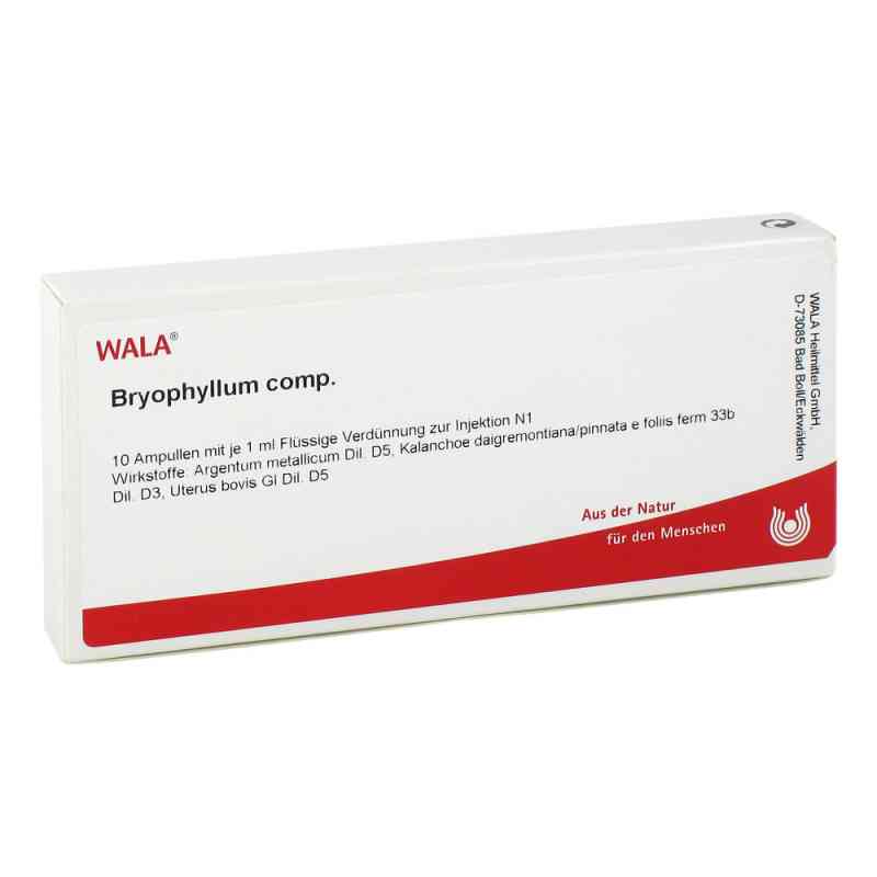 Bryophyllum Comp. Ampullen 10X1 ml von WALA Heilmittel GmbH PZN 02085213