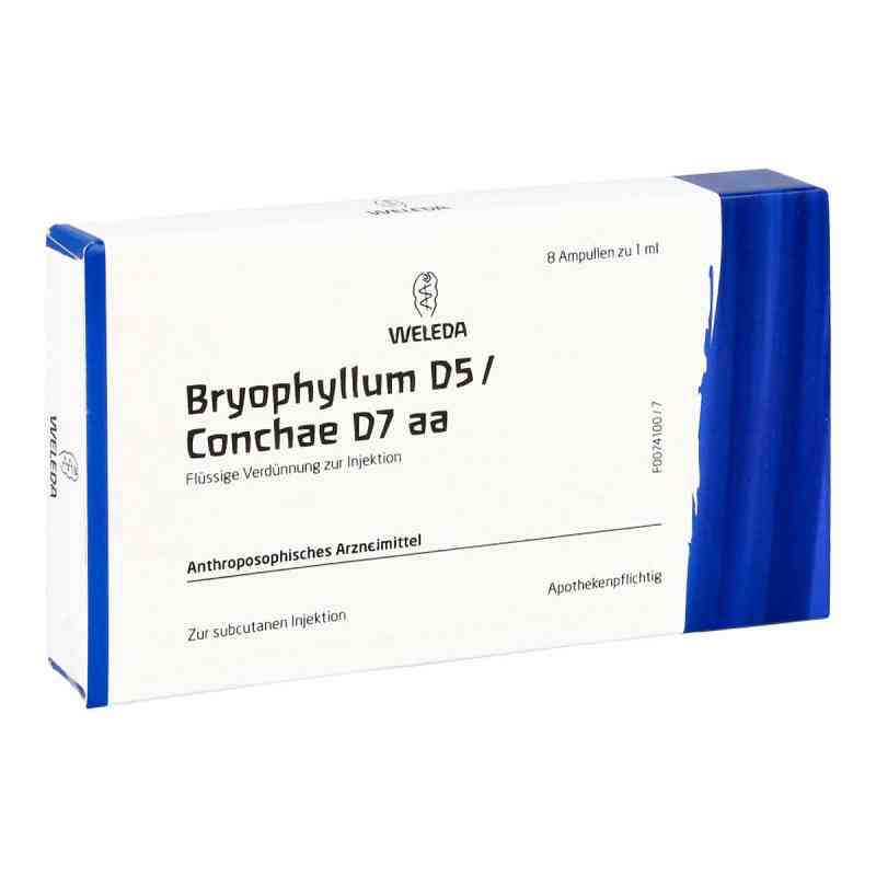 Bryophyllum D 5/conchae D7 Ampullen 8X1 ml von WELEDA AG PZN 01619859
