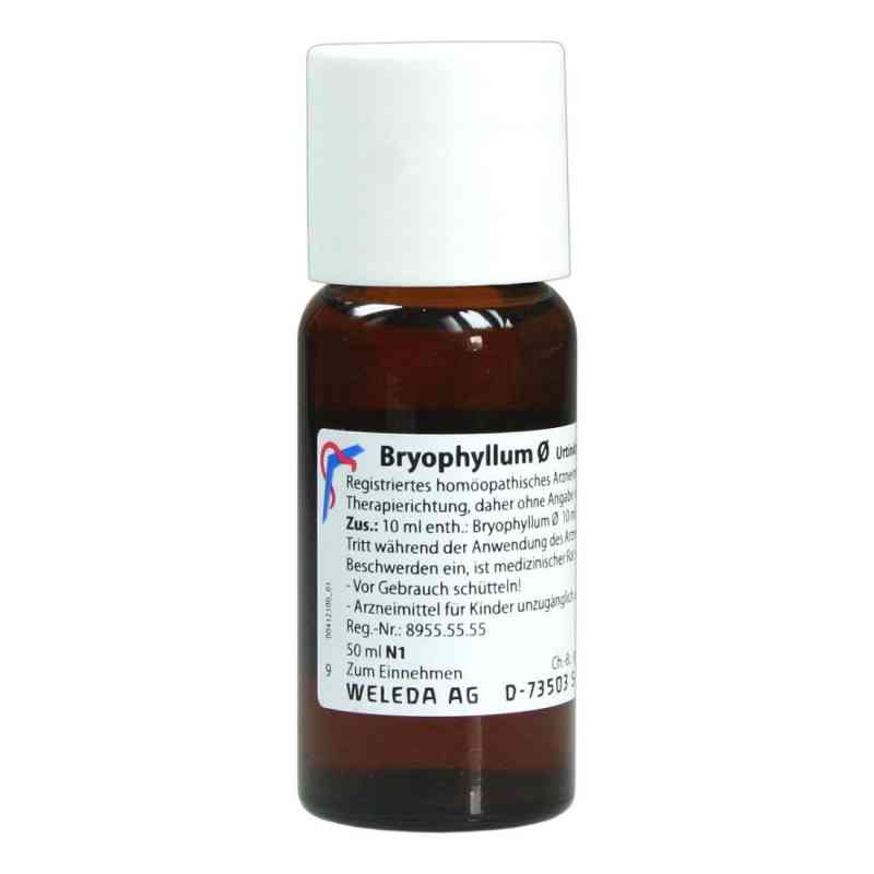 Bryophyllum Urtinktur 50 ml von WELEDA AG PZN 01629065