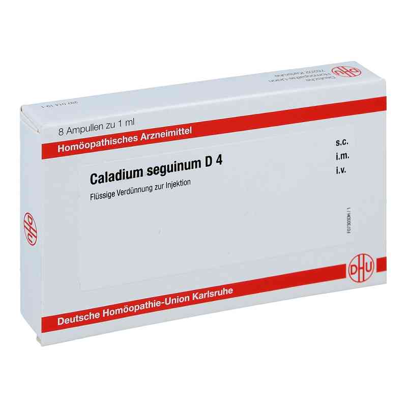 Caladium seguinum D4 Ampullen 8X1 ml von DHU-Arzneimittel GmbH & Co. KG PZN 11704649