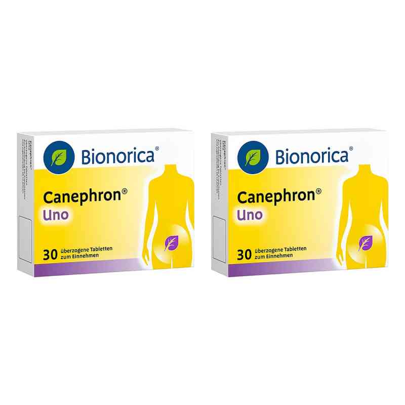 Canephron Uno überzogene Tabletten 2x30 stk von Bionorica SE PZN 08106362