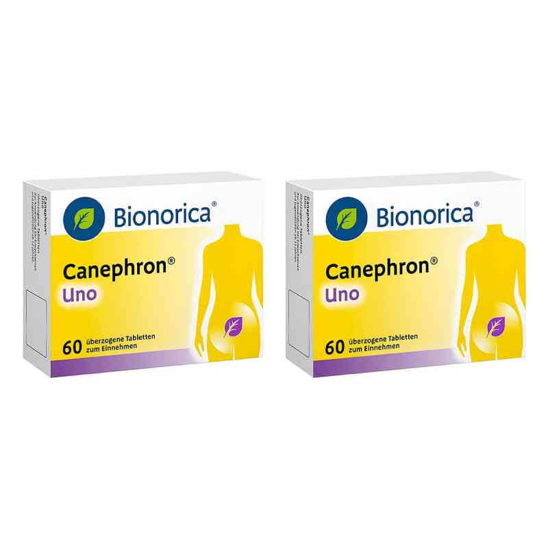Canephron Uno überzogene Tabletten 2x60 stk von Bionorica SE PZN 08106365