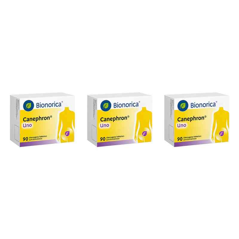 Canephron Uno überzogene Tabletten 3x90 stk von Bionorica SE PZN 08106369