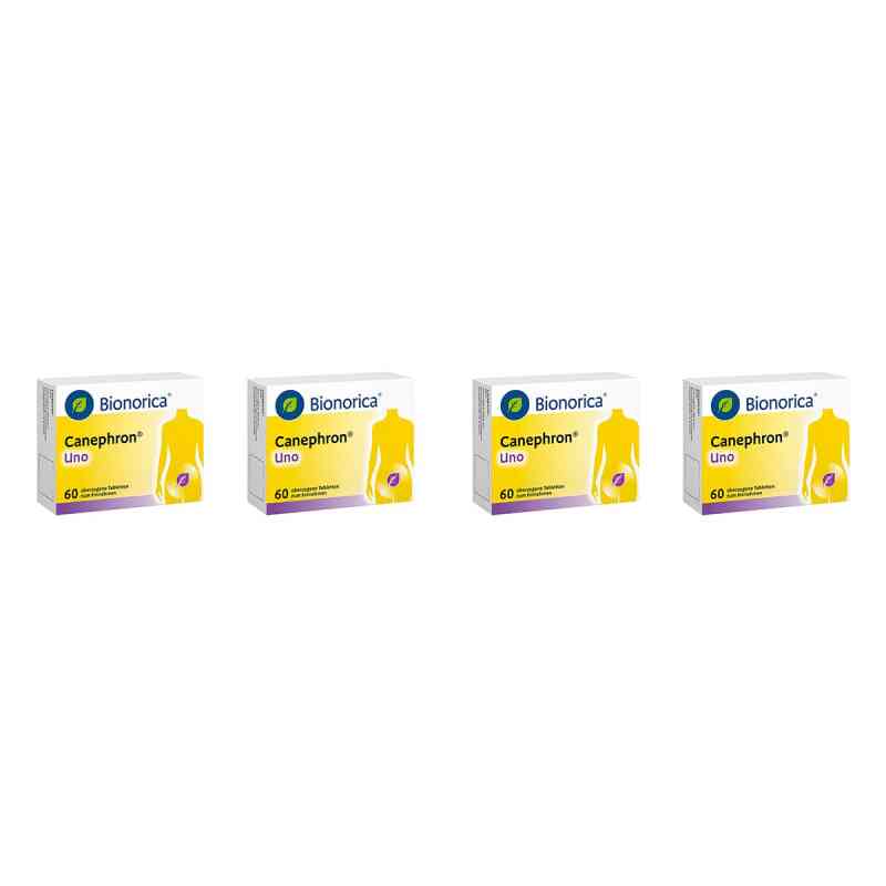 Canephron Uno überzogene Tabletten 4x60 stk von Bionorica SE PZN 08106367
