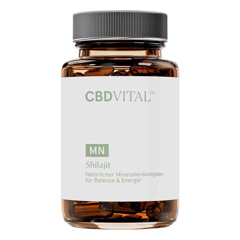 CBD VITAL MN Shilajit Kapseln 60 stk von Vitrasan GmbH PZN 19791352