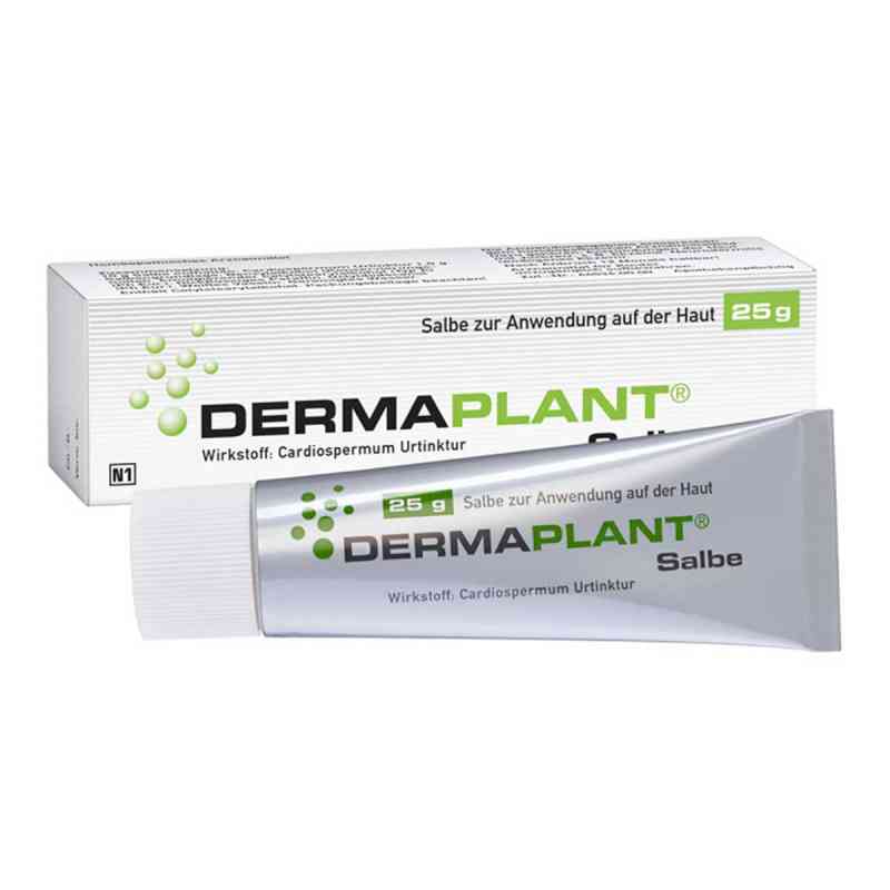 Dermaplant Salbe 25 g von Dr.Willmar Schwabe GmbH & Co.KG PZN 01713512