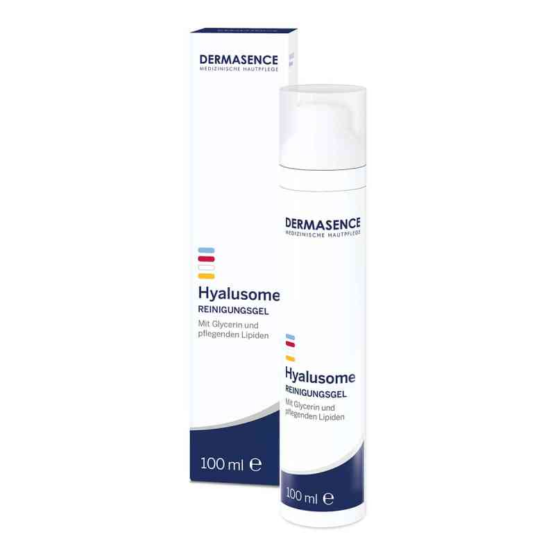 Dermasence Hyalusome Reinigungsgel 100 ml von Medicos Kosmetik GmbH & Co. KG PZN 17847692