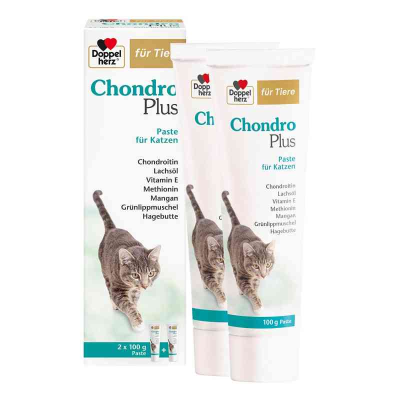 Doppelherz Für Tiere Chondro Plus Paste F.katzen 2X100 g von Queisser Pharma GmbH & Co. KG PZN 19745263