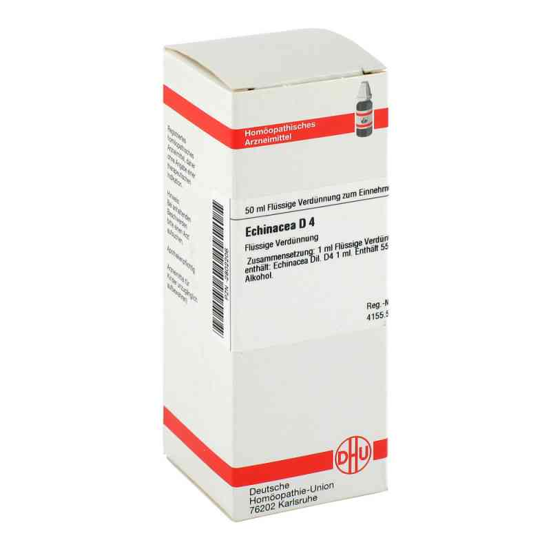 Echinacea Hab D4 Dilution 50 ml von DHU-Arzneimittel GmbH & Co. KG PZN 02802206