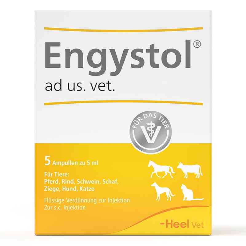 Engystol ad usus vet.Ampullen 5 stk von Biologische Heilmittel Heel GmbH PZN 02585051