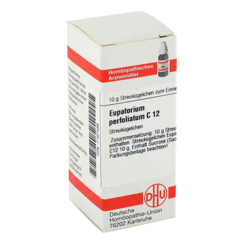 Eupatorium Perfoliatum C12 Globuli 10 g von DHU-Arzneimittel GmbH & Co. KG PZN 07167499