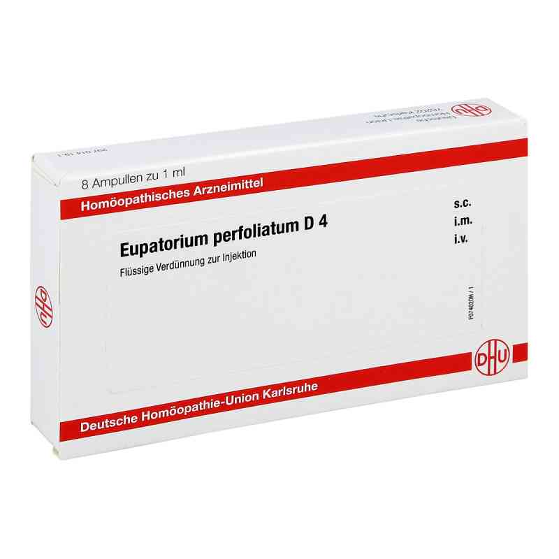 Eupatorium Perfoliatum D4 Ampullen 8X1 ml von DHU-Arzneimittel GmbH & Co. KG PZN 11705790