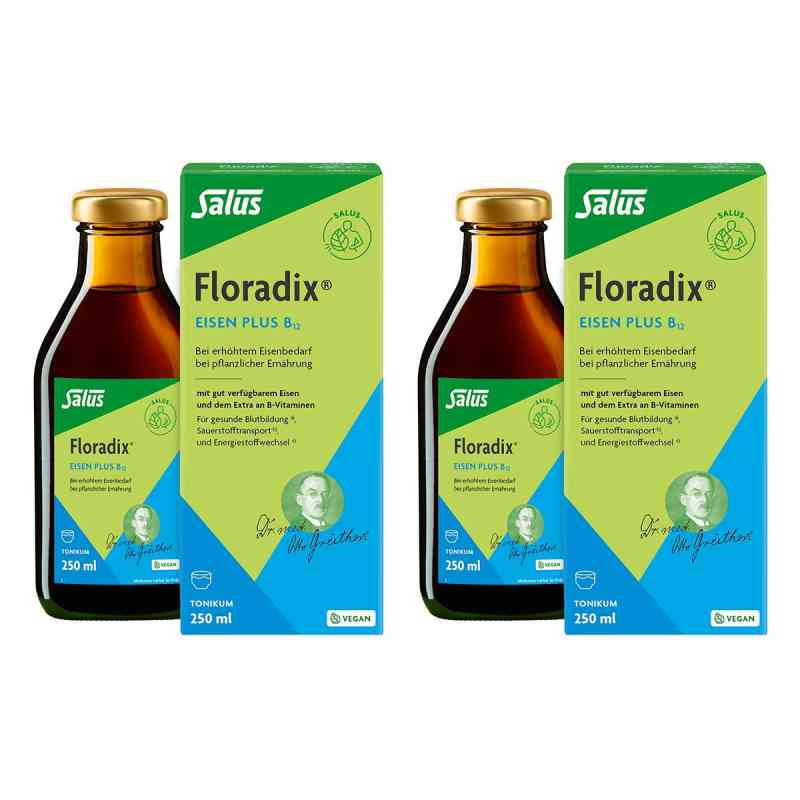 Floradix Eisen Plus B12 vegan Tonikum 2x250 ml von SALUS Pharma GmbH PZN 08106076