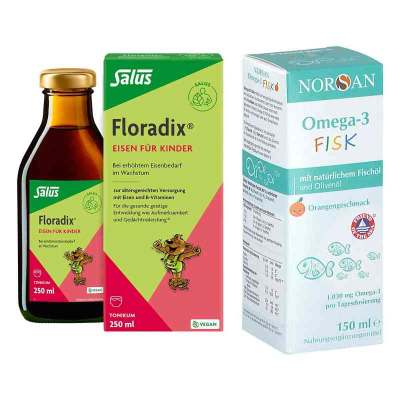 Floradix Eisen Tonikum + Norsan Omega-3 Fisk für Kinder 1 Pck von  PZN 08104767