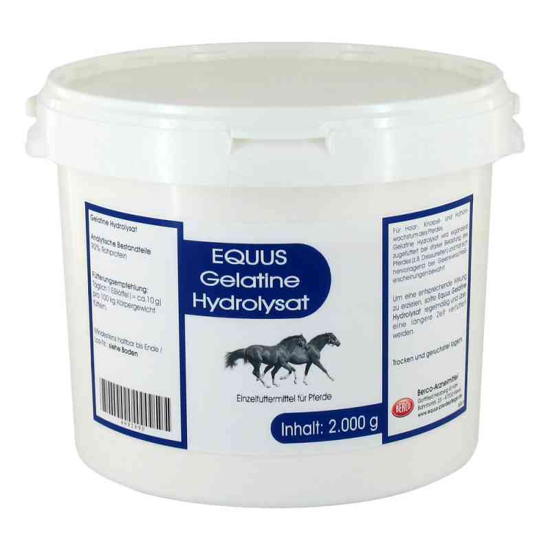 Gelatine Hydrolysat Equus Pulver veterinär 2000 g von Berco-ARZNEIMITTEL PZN 04992990