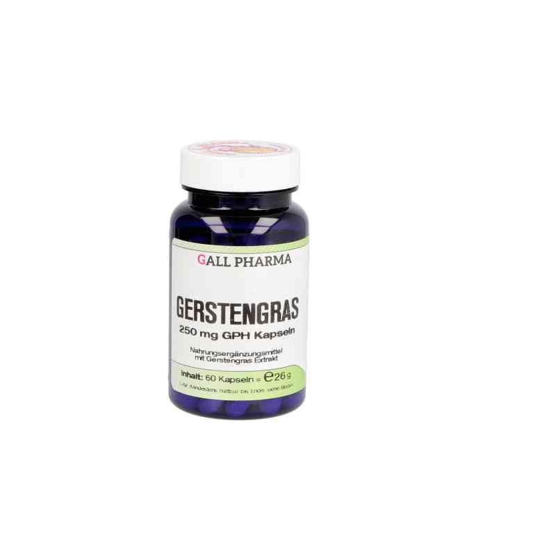 Gerstengras 250 mg Gph Kapseln 60 stk von Hecht-Pharma GmbH PZN 06106521