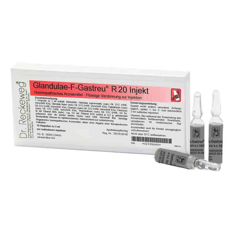 Glandulae F Gastreu R 20 Injekt Ampullen 10X2 ml von Dr.RECKEWEG & Co. GmbH PZN 02496666
