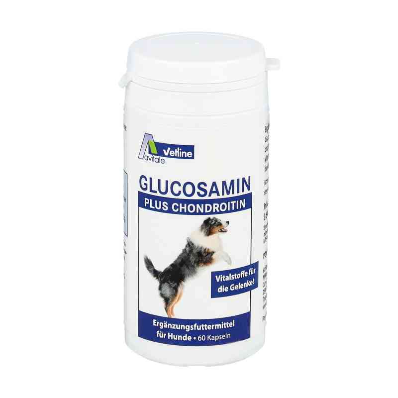Glucosamin+chondroitin Kapseln für Hunde 60 stk von Avitale GmbH PZN 03025727