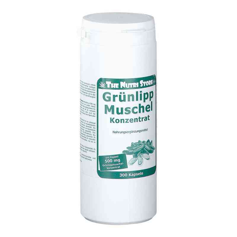 Grünlippmuschel 500 mg Konzentrat Kapseln 300 stk von Hirundo Products PZN 10934519