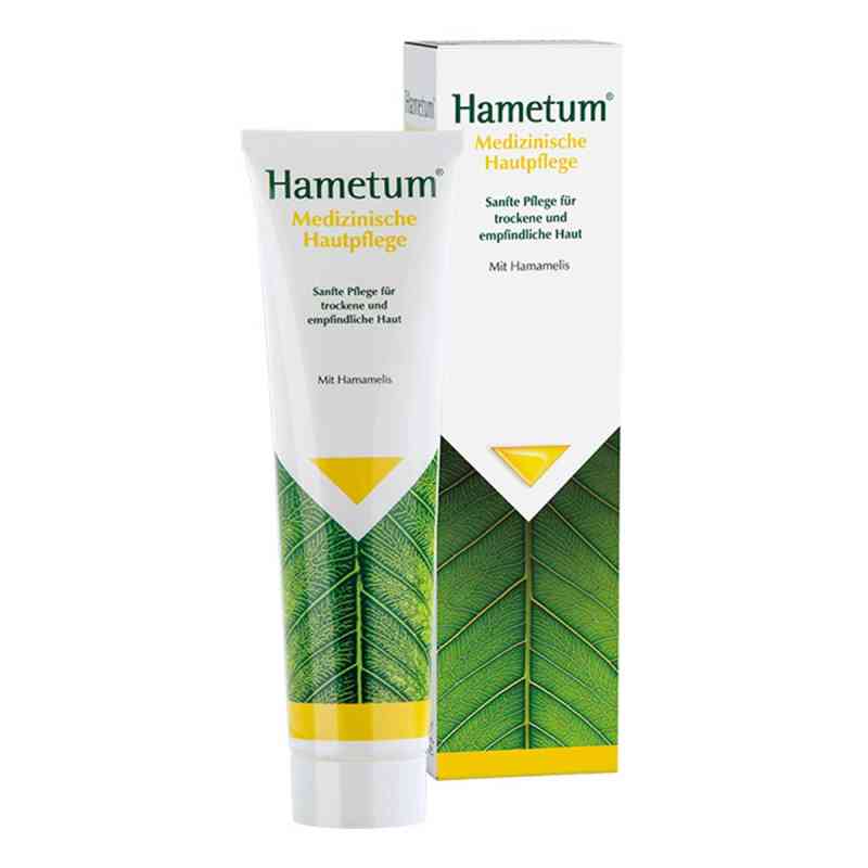 Hametum medizinische Hautpflege Creme 100 g von Dr.Willmar Schwabe GmbH & Co.KG PZN 09079486