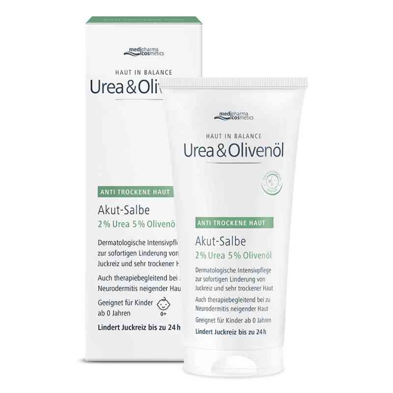 Haut in Balance Urea & Olivenöl Akut Salbe 75 ml von Dr. Theiss Naturwaren GmbH PZN 20412182