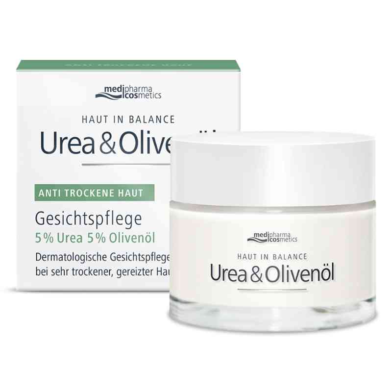 Haut in Balance Urea & Olivenöl Gesichtspflege Creme 50 ml von Dr. Theiss Naturwaren GmbH PZN 20412130