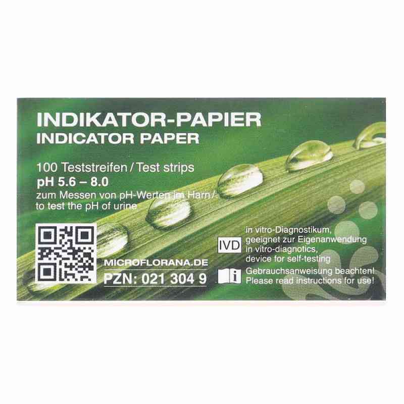 Indikatorpapier Teststreifen 100 stk von BDS GmbH PZN 00213049