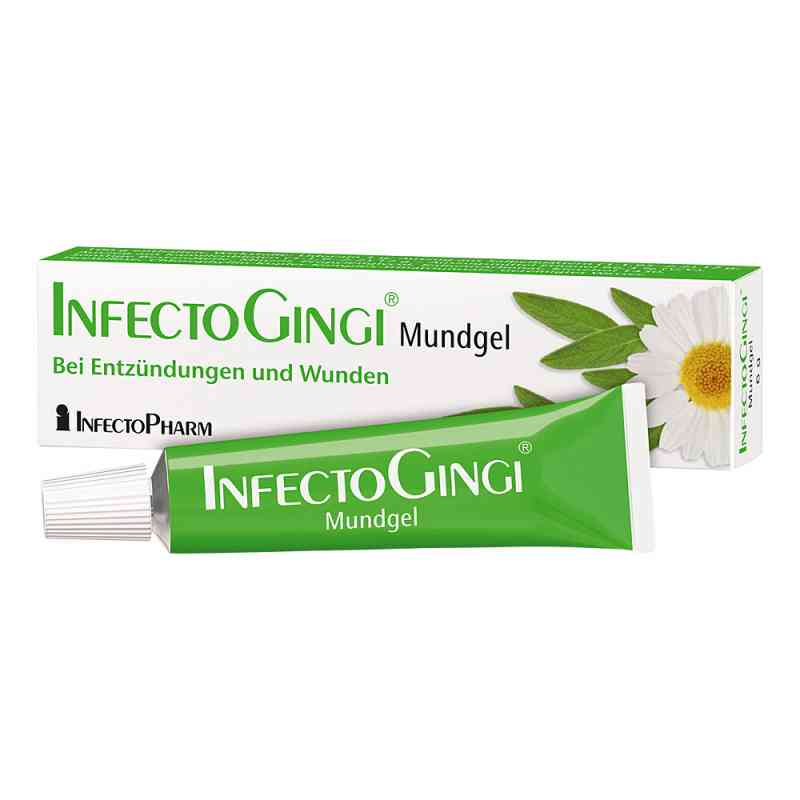 INFECTOGINGI Mundgel 6 g von INFECTOPHARM Arzn.u.Consilium GmbH PZN 06819037