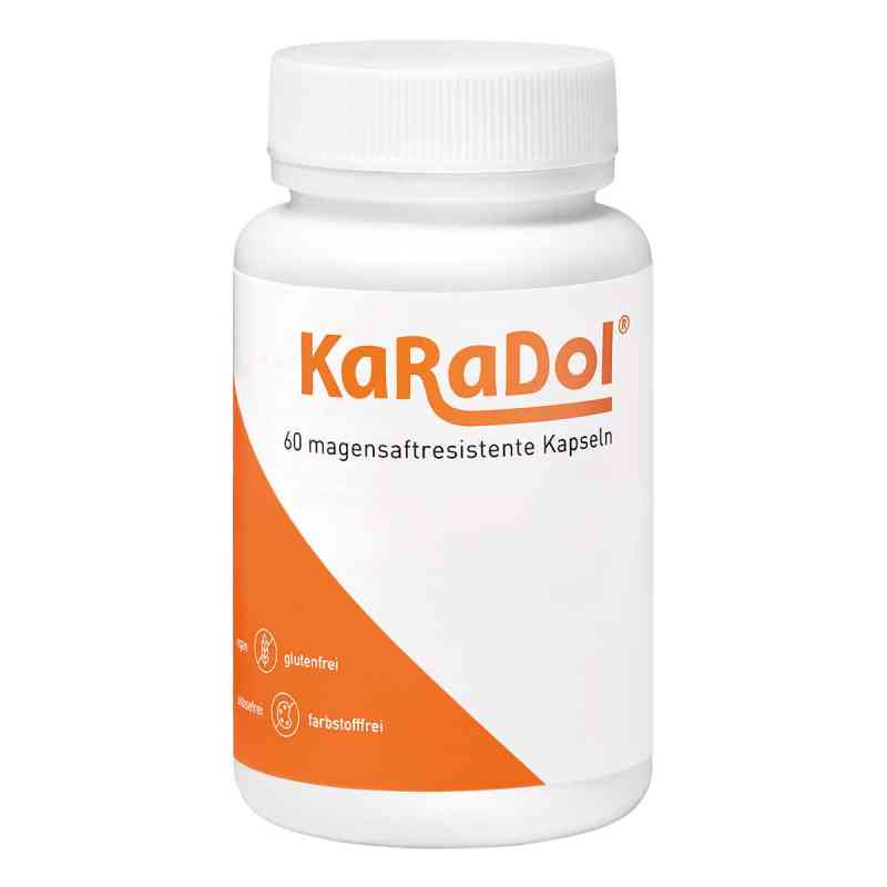 Karadol Magensaftresistente Kapseln 60 stk von Volopharm GmbH Deutschland PZN 19334614