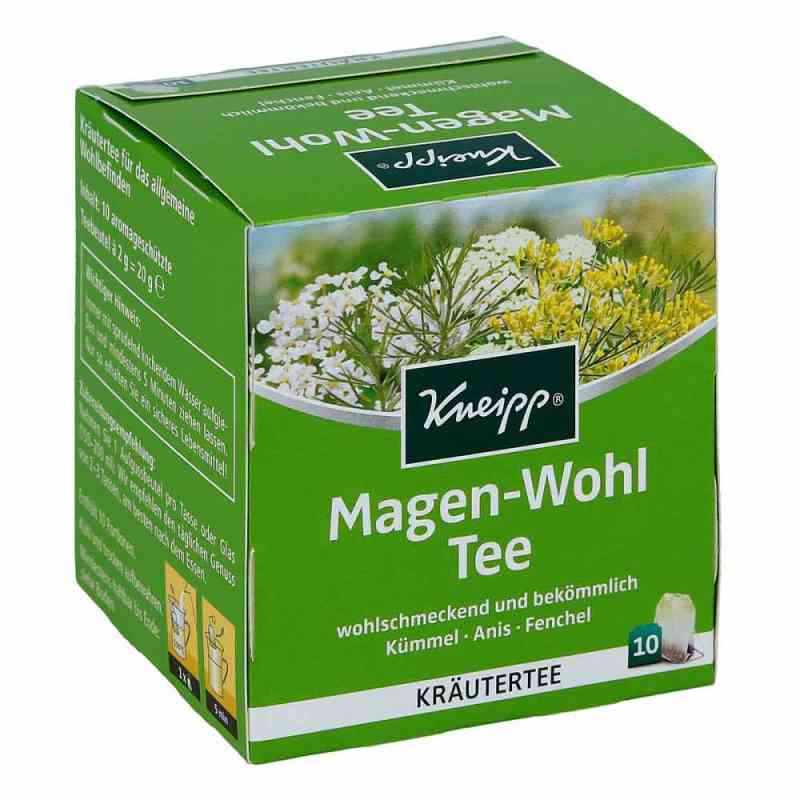 Kneipp Tee Magen Wohl Filterbeutel 10 stk von Kneipp GmbH PZN 08412363