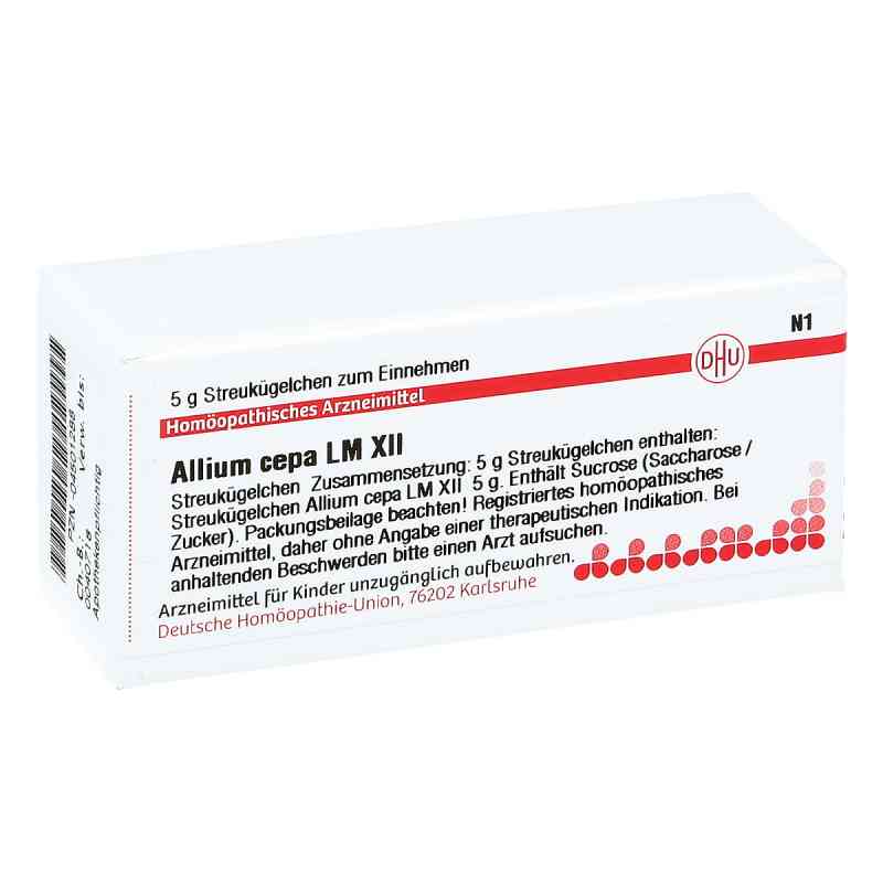 Lm Allium Cepa Xii Globuli 5 g von DHU-Arzneimittel GmbH & Co. KG PZN 04501288