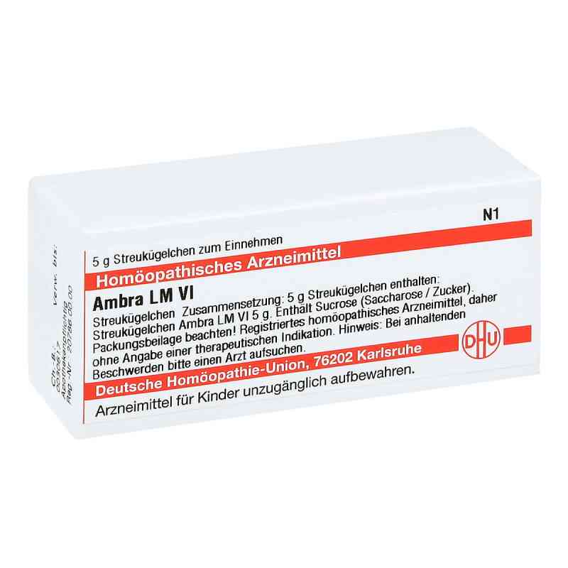 Lm Ambra Vi Globuli 5 g von DHU-Arzneimittel GmbH & Co. KG PZN 02658560