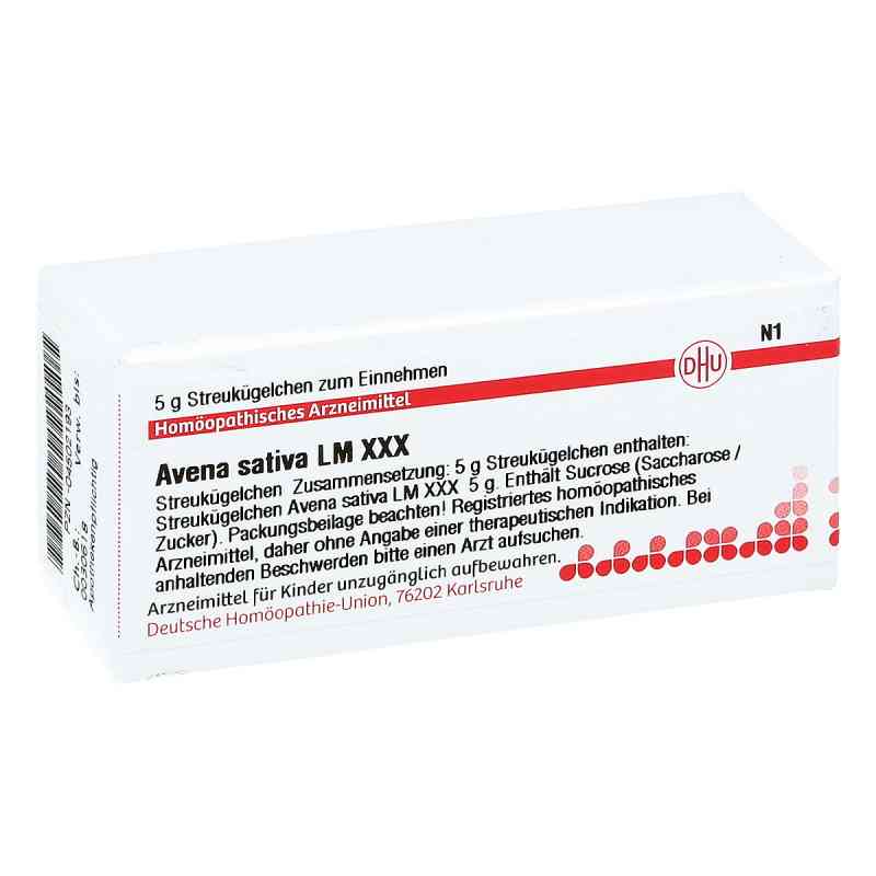 Lm Avena Sativa Xxx Globuli 5 g von DHU-Arzneimittel GmbH & Co. KG PZN 04502193