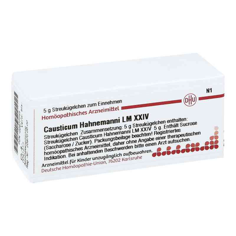 Lm Causticum Xxiv Dhu Hahnemann 5 g von DHU-Arzneimittel GmbH & Co. KG PZN 02677244