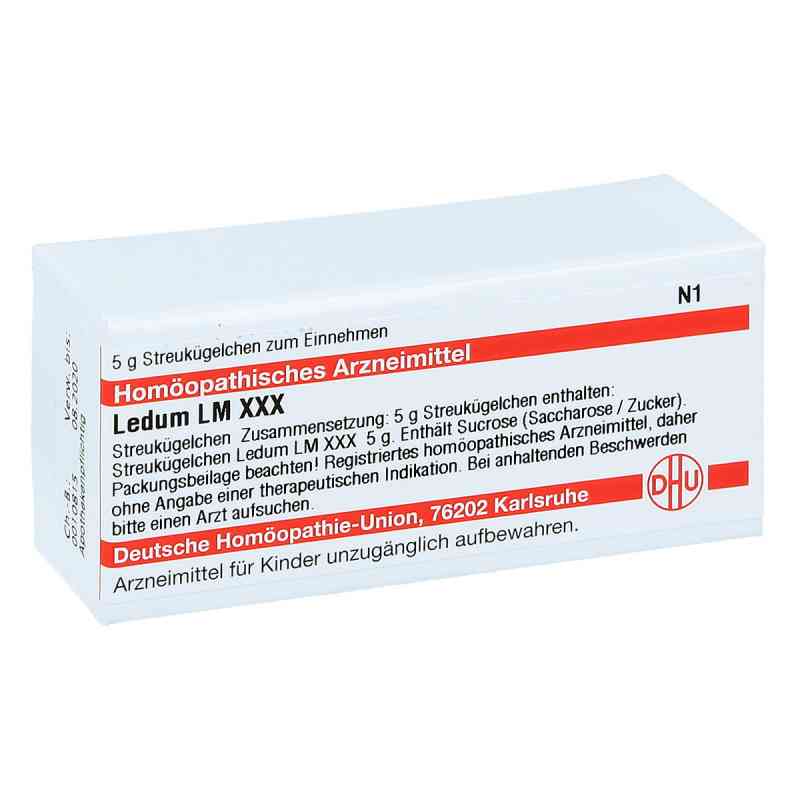 Lm Ledum Xxx Globuli 5 g von DHU-Arzneimittel GmbH & Co. KG PZN 04506222