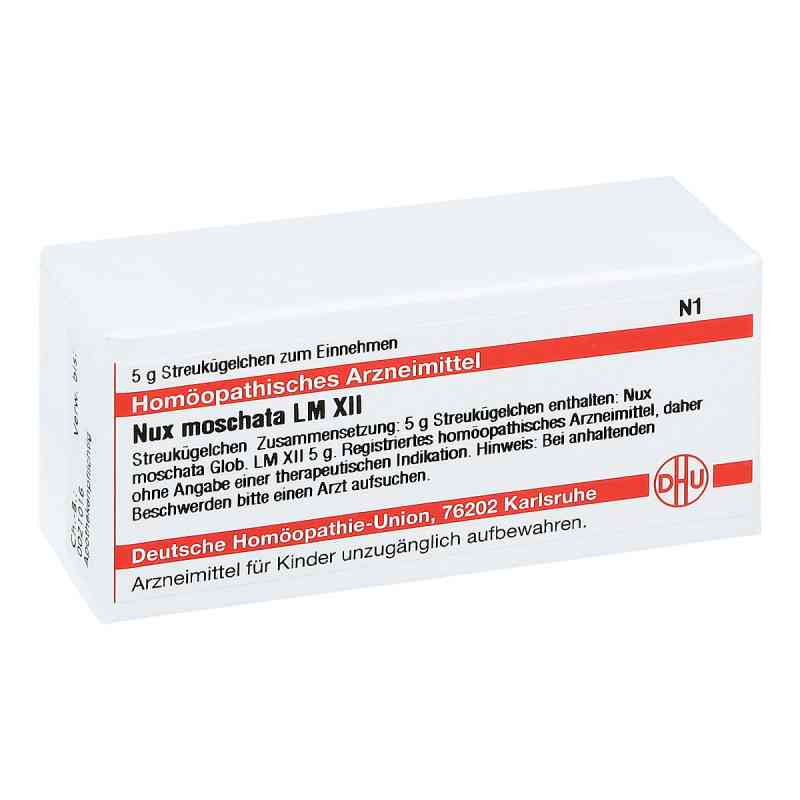 Lm Nux Moschata Xii Globuli 5 g von DHU-Arzneimittel GmbH & Co. KG PZN 02678568